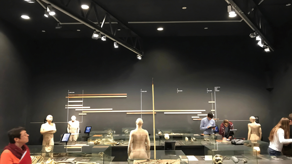 Museum voor Natuurwetenschappen Galerij van de mens